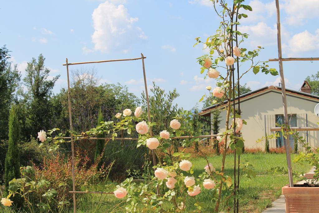 Agriturismo Dimore Di Poggianto Pergine Valdarno Ngoại thất bức ảnh