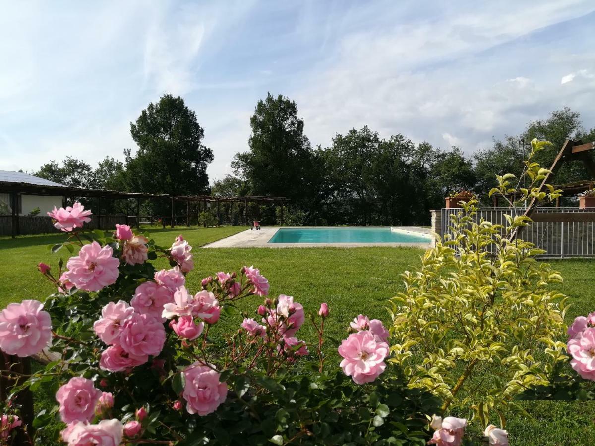 Agriturismo Dimore Di Poggianto Pergine Valdarno Ngoại thất bức ảnh